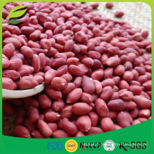 China redskin peanut kernels 50/60